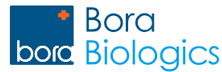 Bora Biologics: The Full-Spectrum Biologics Builders